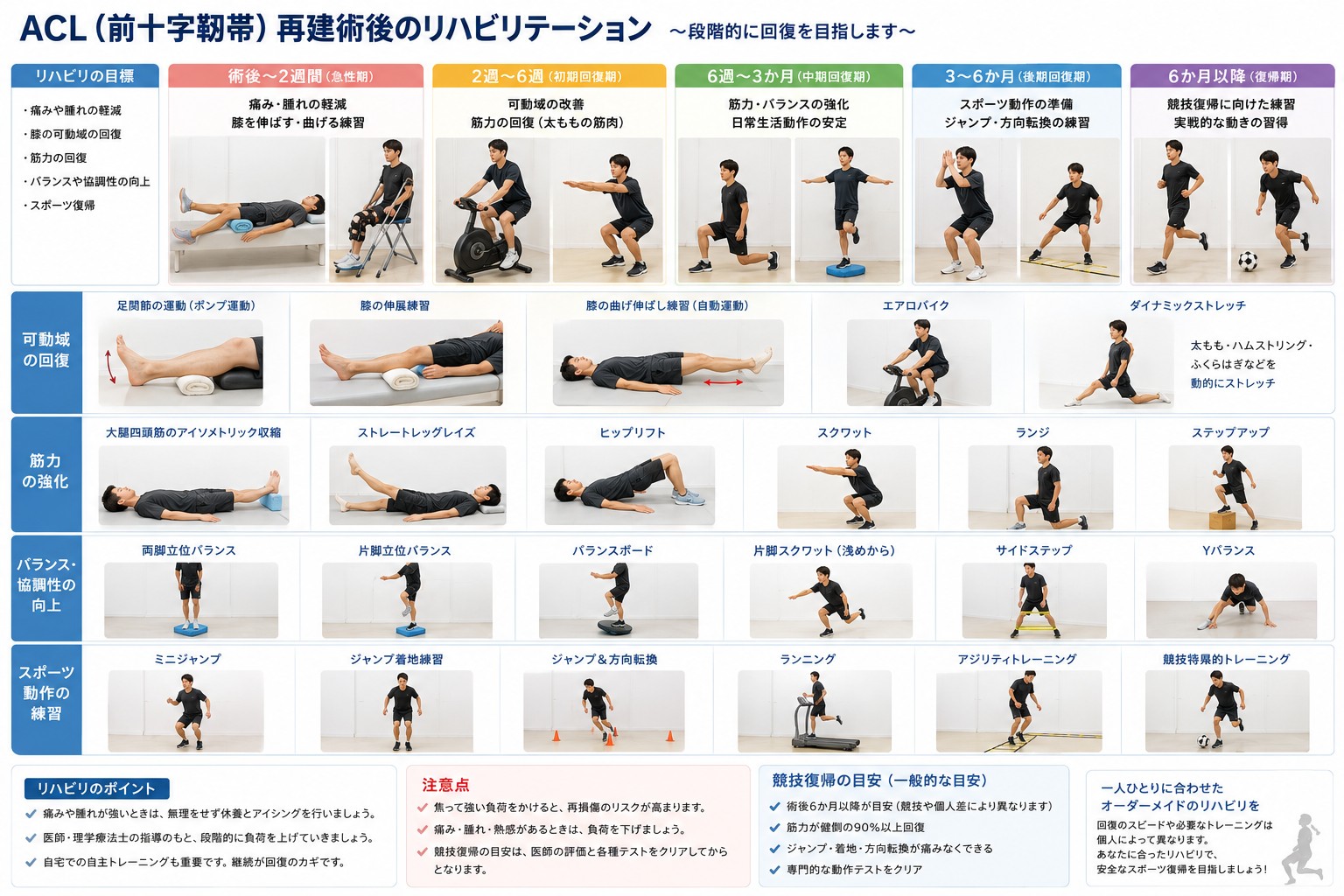 ACL（前十字靭帯）手術の前後とリハビリ経過の解説イラスト